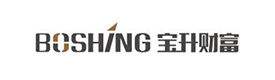 陜西寶升信息咨詢(xún)有限公司